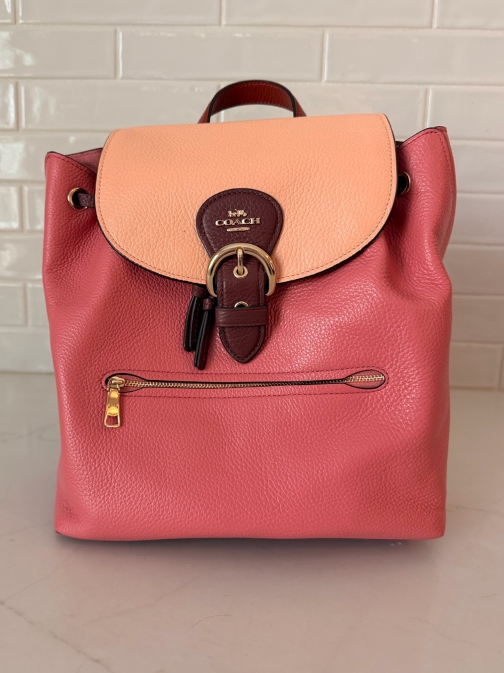 Coach Kleo Backpack in Colorblock Pebble Leather